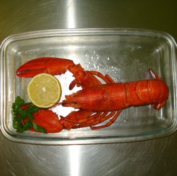 Lobster